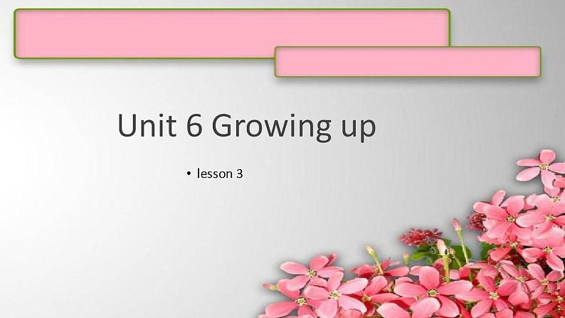 Unit 6 Growing Up L3   课件 人教版新起点英语五年级下册第1页