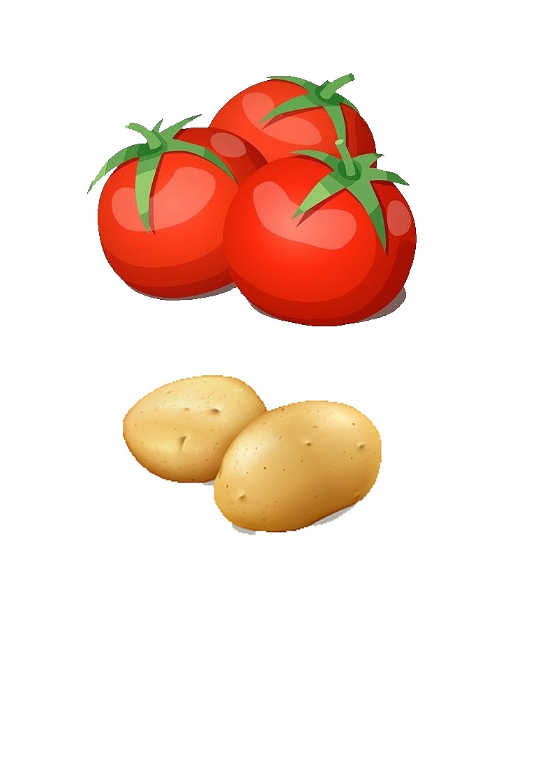 外研版四年级上册Module 4 unit1 课件+教案+素材01