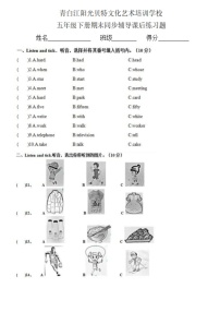 四川省成都市青白江区阳光贝特文化艺术培训学校2023-2024学年五年级下学期期末英语试题