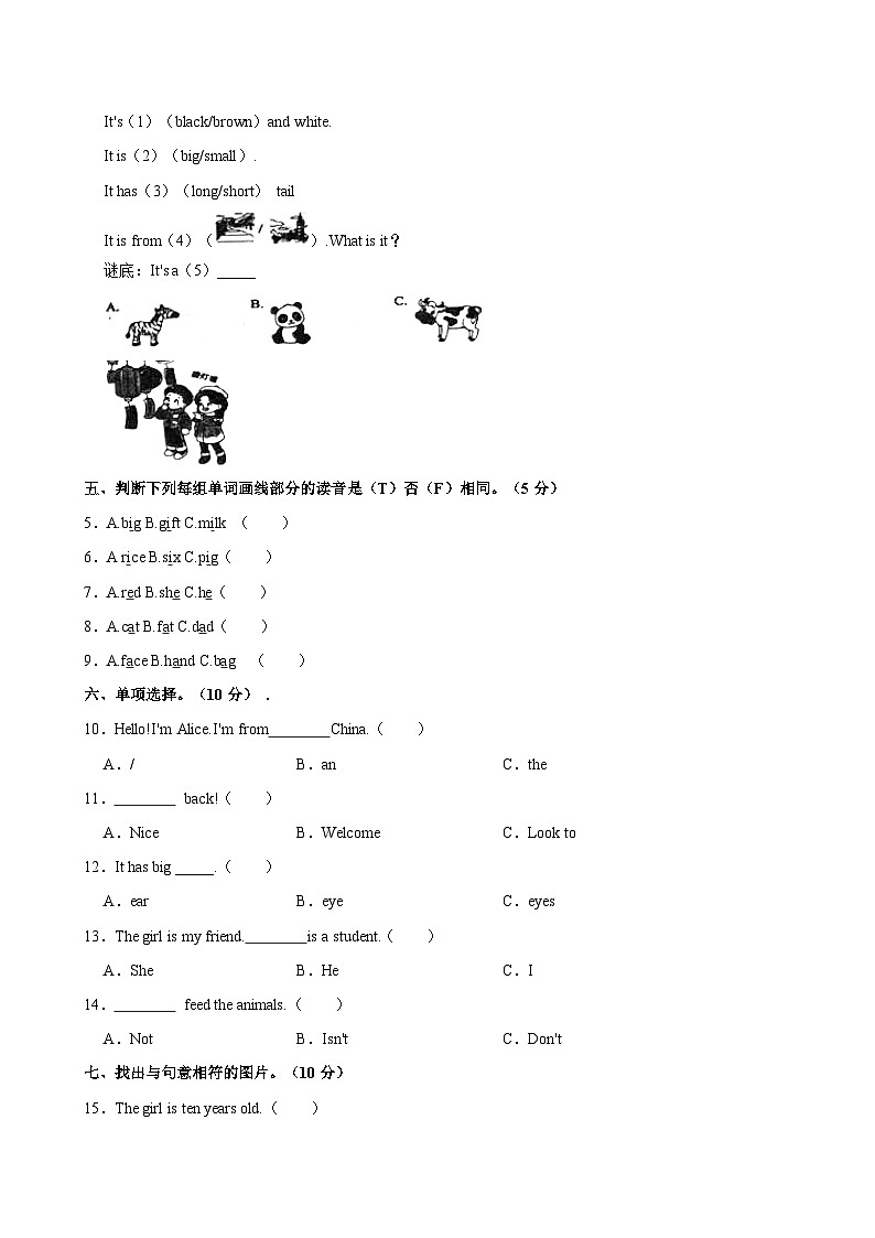 2023-2024学年河南省郑州市三年级（下）期中英语试卷第2页