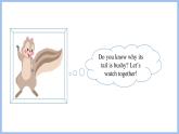 Unit 4 I have a pen pal Part C   Story time（課件）-2024-2025學(xué)年人教PEP版英語(yǔ)六年級(jí)上冊(cè)