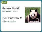 Unit 4 What can you do Part A Let's try & Let's talk（课件）-2024-2025学年人教PEP版英语五年级上册