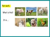 Unit 4 Jenny and Danny Come to China  Lesson 21 What Year Is It（課件+素材） 冀教版（三起）英語五年級上冊