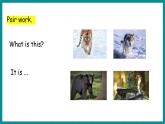 Unit 4 Jenny and Danny Come to China  Lesson 21 What Year Is It（課件+素材） 冀教版（三起）英語五年級上冊