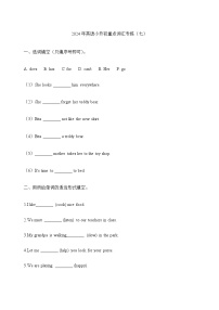 2024年英语小升初重点词汇专练（七）通用版