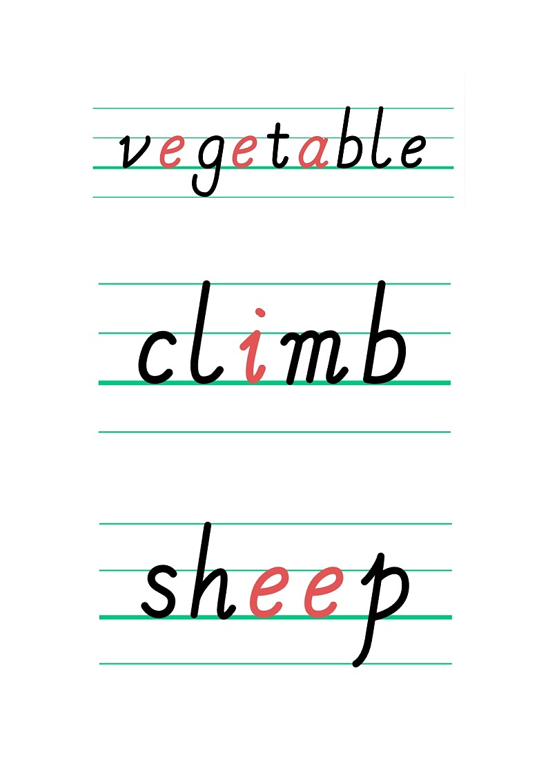 外研版(三起)小学英语四上Module7u1课件+教案+素材02