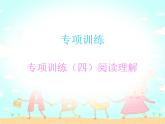 【期末复习】小学英语三年级下册习题课件-专项训练（四）阅读理解 人教（PEP）版
