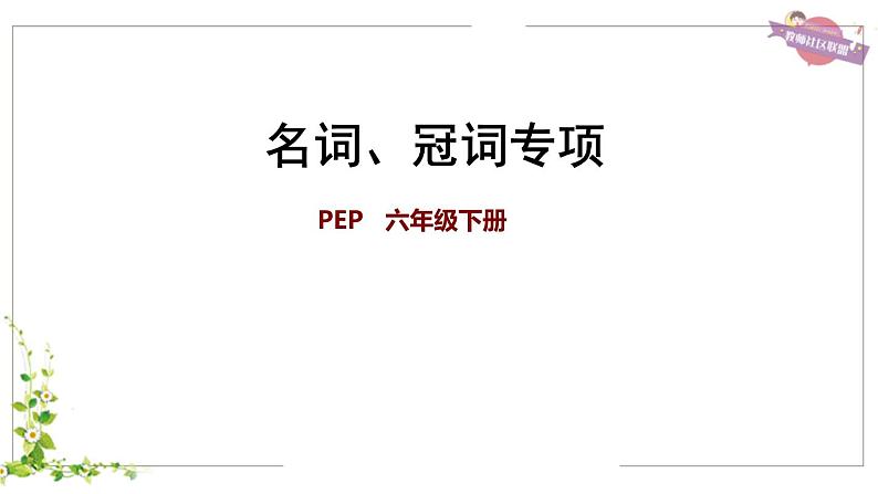 【期末复习】人教版PEP小学英语六年级下册名词、冠词专项（课件）01