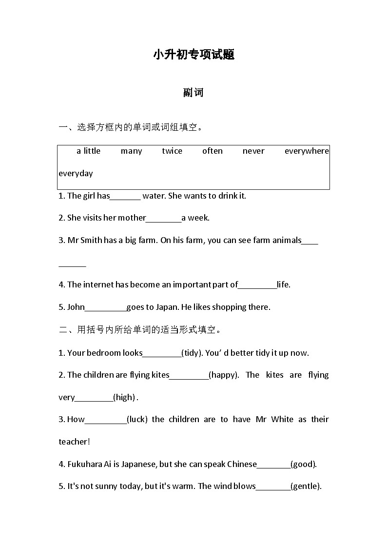 2024学年小升初英语专项 练习- 副词01