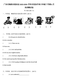 2024年广东省揭阳市惠来县名校协作体六年级下学期6月模拟预测英语试题