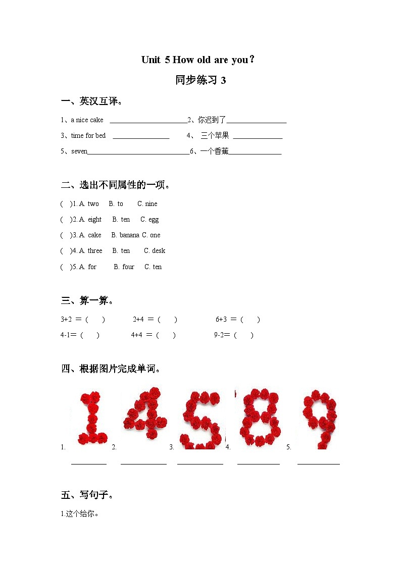 三年级下册译林版 Unit 5 How old are you 同步练习3第1页