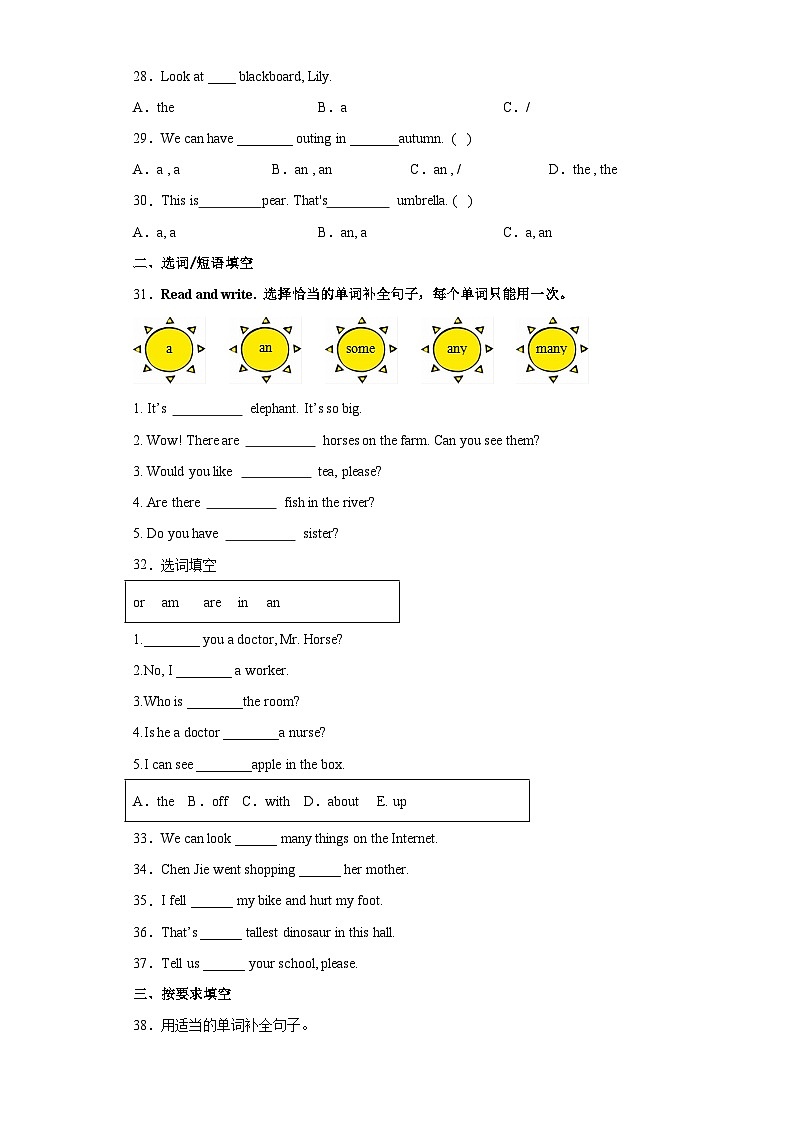 2024年小升初英语语法专项训练（译林三起）--冠词03