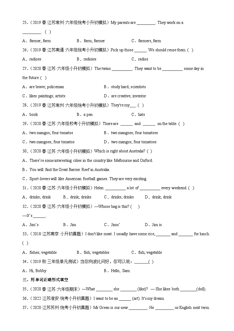 2024年小升初英语语法专项训练（译林三起）--名词03
