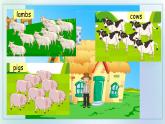 Unit 3 Animals let's check（課件）-2024-2025學年人教新起點版英語五年級上冊