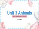 Unit 3 Animals Lesson 1（課件）-2024-2025學(xué)年人教新起點(diǎn)版英語(yǔ)五年級(jí)上冊(cè)