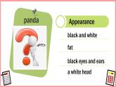 Unit 3 Animals Lesson 2（課件）-2024-2025學(xué)年人教新起點(diǎn)版英語五年級上冊
