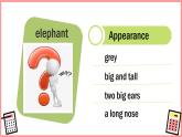 Unit 3 Animals Lesson 2（課件）-2024-2025學(xué)年人教新起點(diǎn)版英語五年級上冊