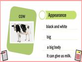 Unit 3 Animals Lesson 2（課件）-2024-2025學(xué)年人教新起點(diǎn)版英語五年級上冊