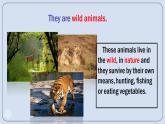 Unit 3 Animals Lesson 3（課件）-2024-2025學(xué)年人教新起點(diǎn)版英語(yǔ)五年級(jí)上冊(cè)
