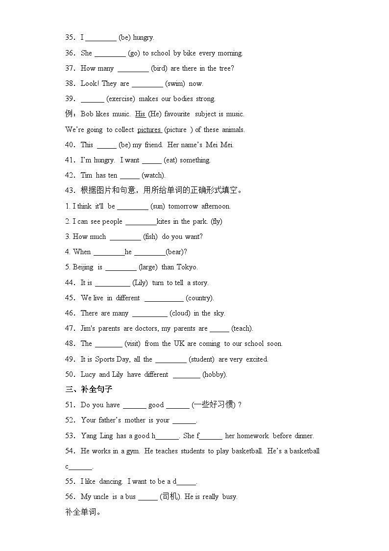 2024年小升初语法专项突破--名词、冠词 人教PEP版（含答案解析）03