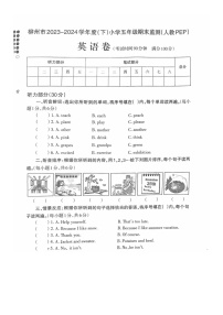 广西壮族自治区柳州市2023-2024学年五年级下学期期末英语试题