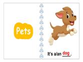 Unit 3 Amazing animals Part C Project & Reading time（课件+素材）-2024-2025学年人教PEP版（2024）英语三年级上册