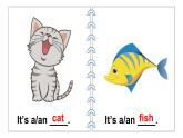 Unit 3 Amazing animals Part C Project & Reading time（课件+素材）-2024-2025学年人教PEP版（2024）英语三年级上册
