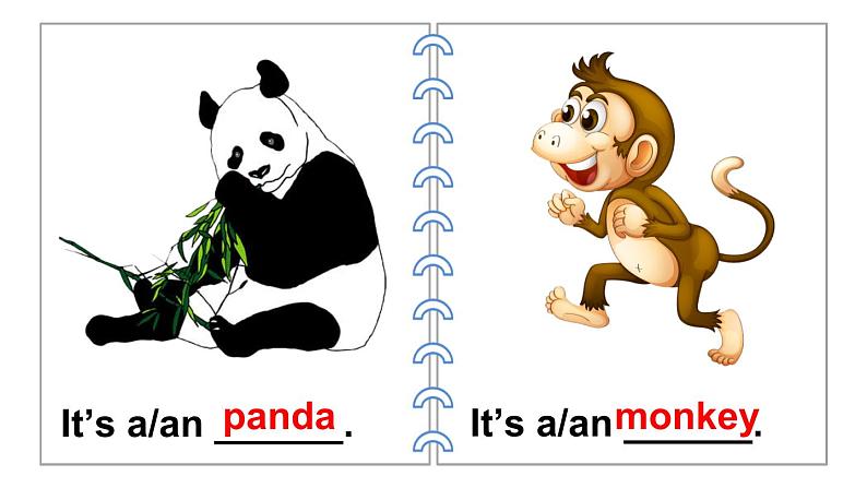 Unit 3 Amazing animals Part C Project & Reading time（课件+素材）-2024-2025学年人教PEP版（2024）英语三年级上册08