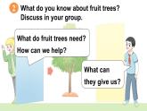 Unit 4 Plants around us Part  C Project Make a paper garden（課件）-2024-2025學年人教PEP版（2024）英語三年級上冊