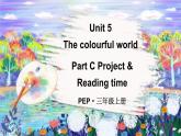 Unit 5 The colourful world Part C Project & Reading time（课件+素材）-2024-2025学年人教PEP版（2024）英语三年级上册