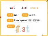 Unit 3 Amazing animals单词讲解（课件）-2024-2025学年人教PEP版（2024）英语三年级上册