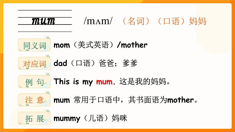 Unit 2 Different Family单词讲解（课件）-2024-2025学年人教PEP版（2024）英语三年级上册第2页