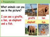 Unit 3 Amazing animals Part B 第6课时 Start to read（课件+素材）-2024-2025学年人教PEP版（2024）英语三年级上