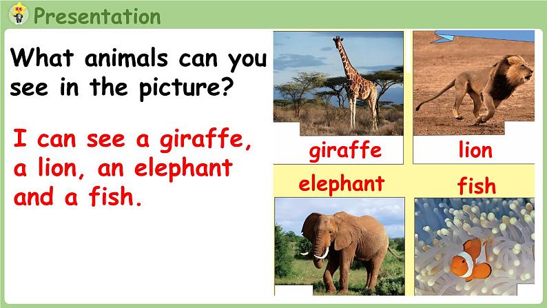 Unit 3 Amazing animals Part B 第6课时 Start to read（课件+素材）-2024-2025学年人教PEP版（2024）英语三年级上03