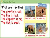 Unit 3 Amazing animals Part B 第6课时 Start to read（课件+素材）-2024-2025学年人教PEP版（2024）英语三年级上