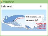 Unit 3 Amazing animals Part C 第8课时 Reading time（课件+素材）-2024-2025学年人教PEP版（2024）英语三年级上