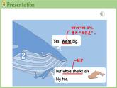 Unit 3 Amazing animals Part C 第8课时 Reading time（课件+素材）-2024-2025学年人教PEP版（2024）英语三年级上