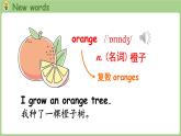 Unit 4 Plants around us Part A 第2课时 Let's learn & Listen and chant（课件+素材）-2024-2025学年人教PEP版（2024）英语三年级上