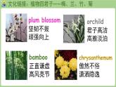 Unit 4 Plants around us Part B 第4課時 Let's talk & Look and discuss（課件+素材）-2024-2025學(xué)年人教PEP版（2024）英語三年級上