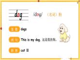 2024年秋人教PEP英語三上：Unit 3 詞匯講解PPT