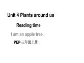 小学英语新人教版PEP三年级上册Unit4 Plants around us Reading time教学课件（2024秋）