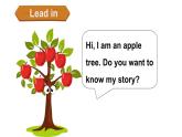小学英语新人教版PEP三年级上册Unit4 Plants around us Reading time教学课件（2024秋）