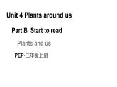 小学英语新人教版PEP三年级上册Unit4 Plants around us Part B第4课时教学课件（2024秋）