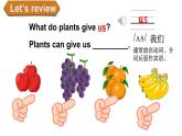 小学英语新人教版PEP三年级上册Unit4 Plants around us Part B第4课时教学课件（2024秋）