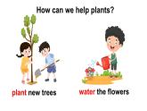 小学英语新人教版PEP三年级上册Unit4 Plants around us Part B第4课时教学课件（2024秋）