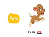 小学英语新人教版PEP三年级上册 Unit3 Amazing animals Part C第6课时教学课件（2024秋）