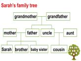 小學(xué)英語新人教版PEP三年級(jí)上冊(cè) Unit2 Different families Part C第5課時(shí)教學(xué)課件（2024秋）