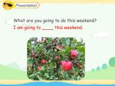 Unit 3 Transportation Lesson 3 （课件）-2024-2025学年人教新起点版英语四年级上册