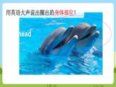 牛津译林版英语五上 Unit 3  Our animal friends Cartoon time课件+素材