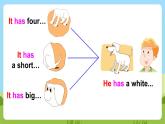 牛津译林版英语五上 Unit 3  Our animal friends Grammar time & Fun time课件+素材